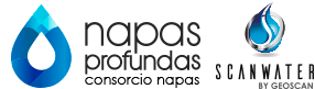 napaslogo